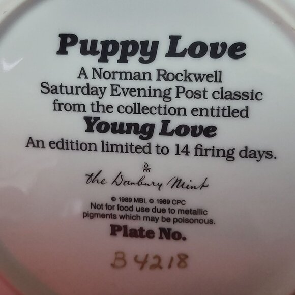 Decorative Plate Puppy Love Norman Rockwell Young Love Danbury Mint 1989 - Picture 3 of 11